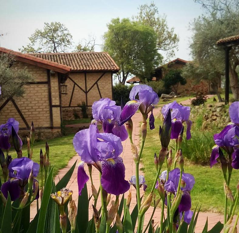 לוסאר דה לה ורה Hotel Rural Hosteria Fontivieja מראה חיצוני תמונה